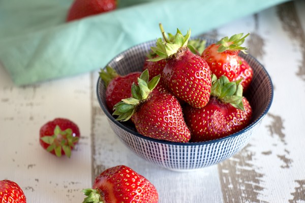 Holunder Panna Cotta mit Erdbeer-Rhabarber-Kompott