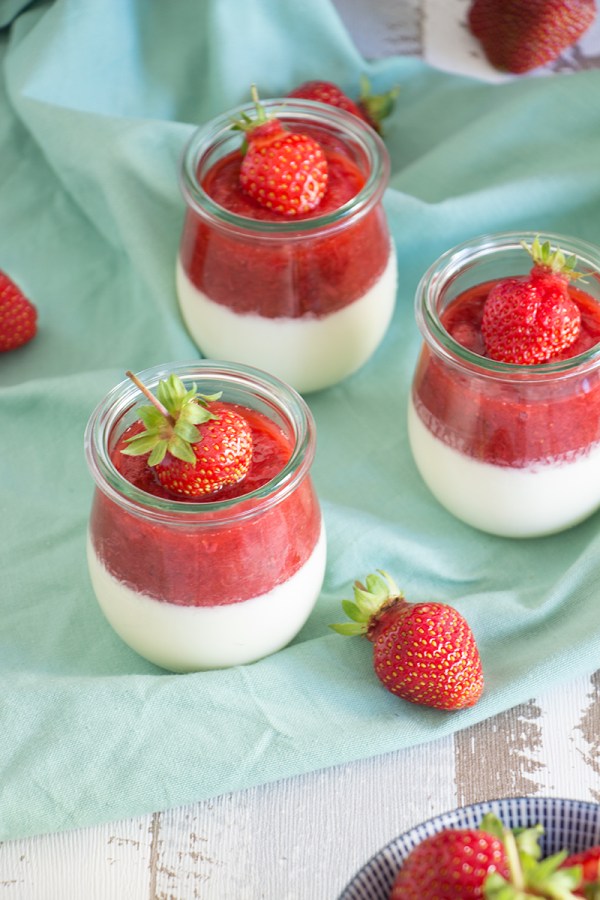 Holunder Panna Cotta mit Erdbeer-Rhabarber-Kompott