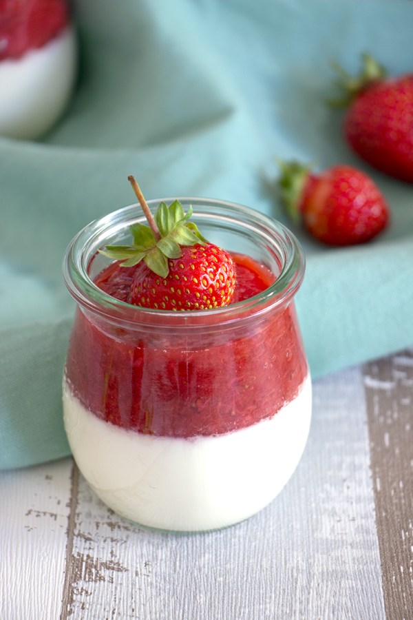 Holunder Panna Cotta mit Erdbeer-Rhabarber-Kompott